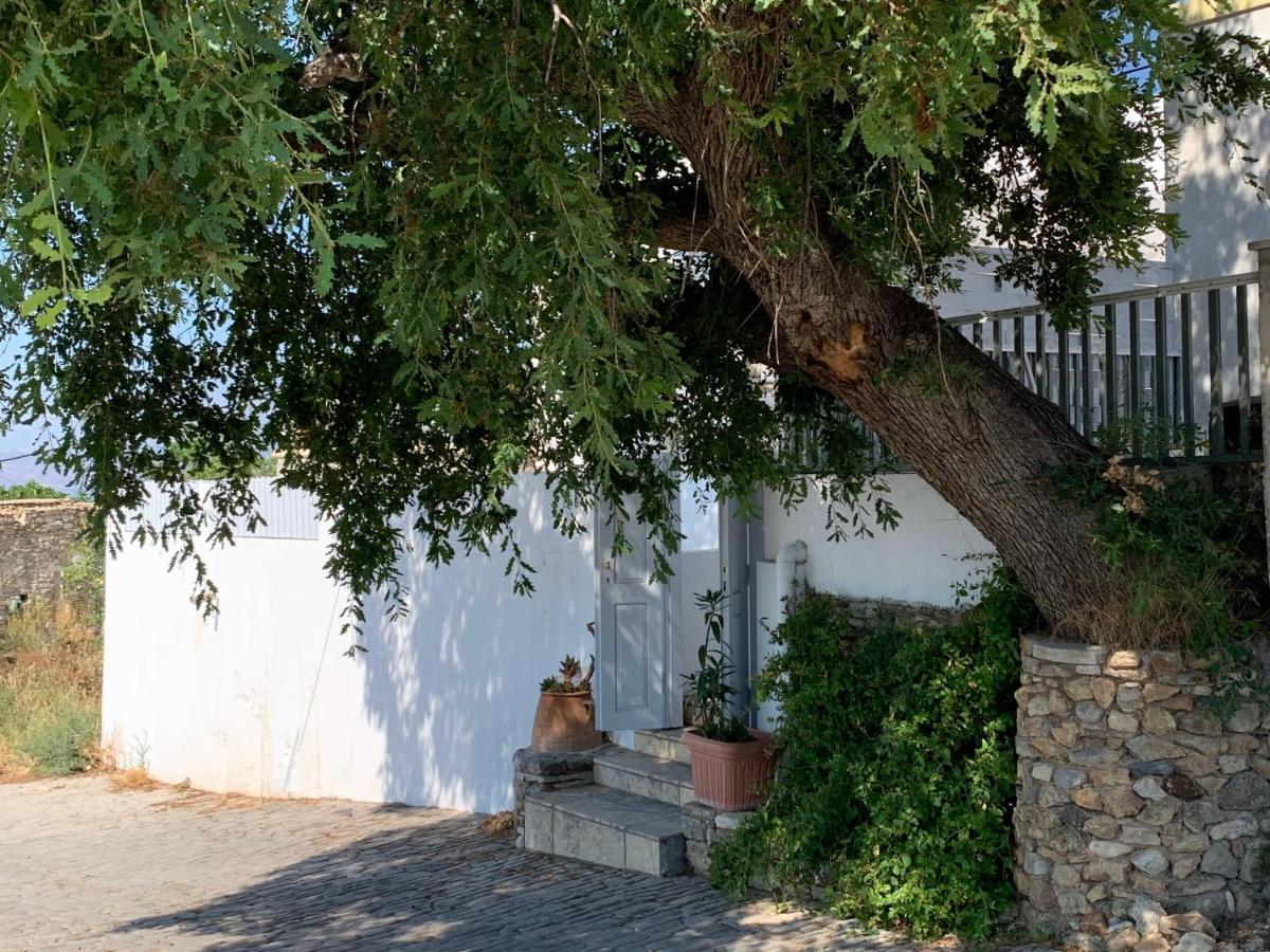 Moeses House Villa Asfendiou Exterior photo